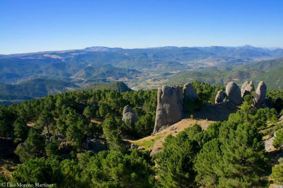 Casas Rurales Los Palenques Villaverde De Guadalimar 外观 照片