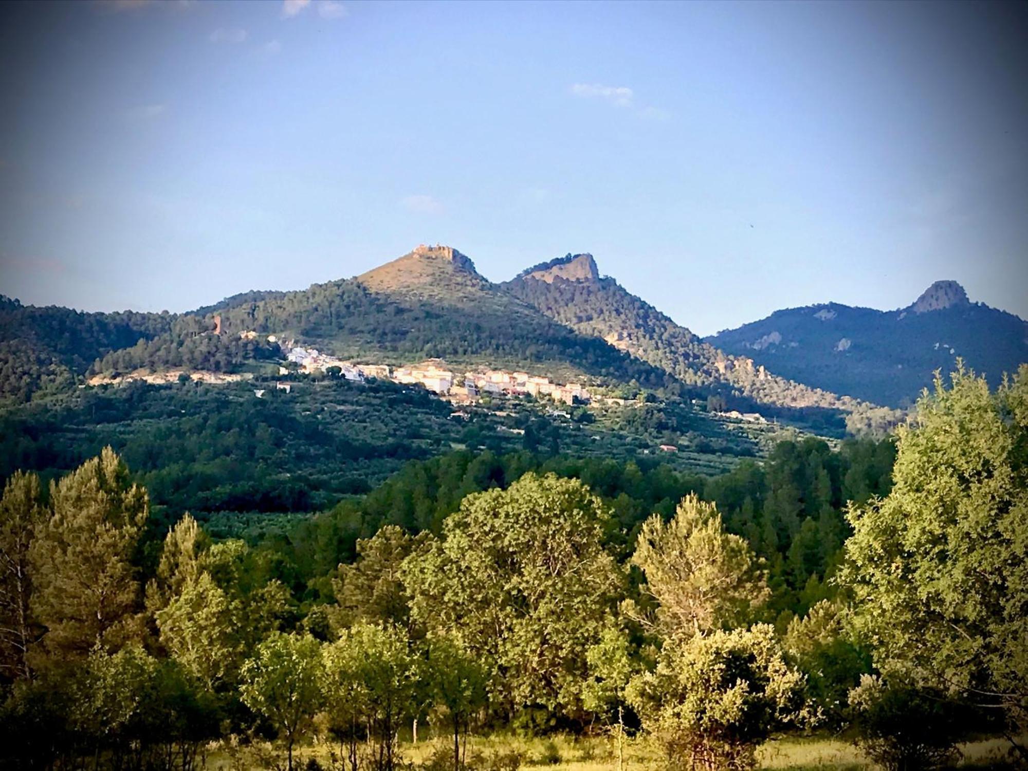 Casas Rurales Los Palenques Villaverde De Guadalimar 外观 照片